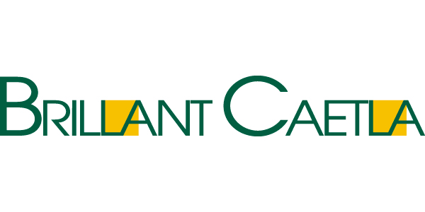 ブリアンサエラのロゴ