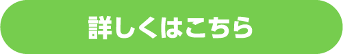 恐竜発掘体験 詳しくはこちら