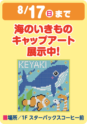 8/17まで 海のいきものキャップアート展示中！