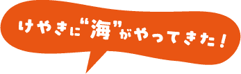 けやきに海がやってきた！