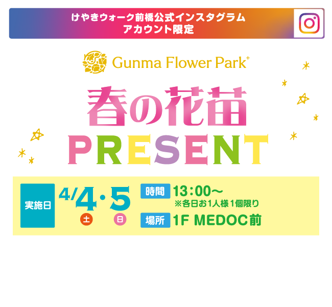 春の花苗PRESENT