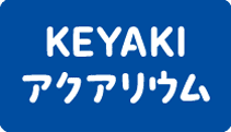 KEYAKI アクアリウム