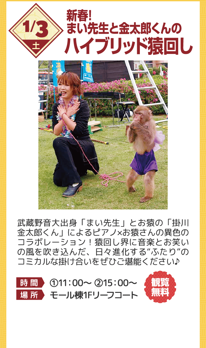 ハイブリッド猿回し