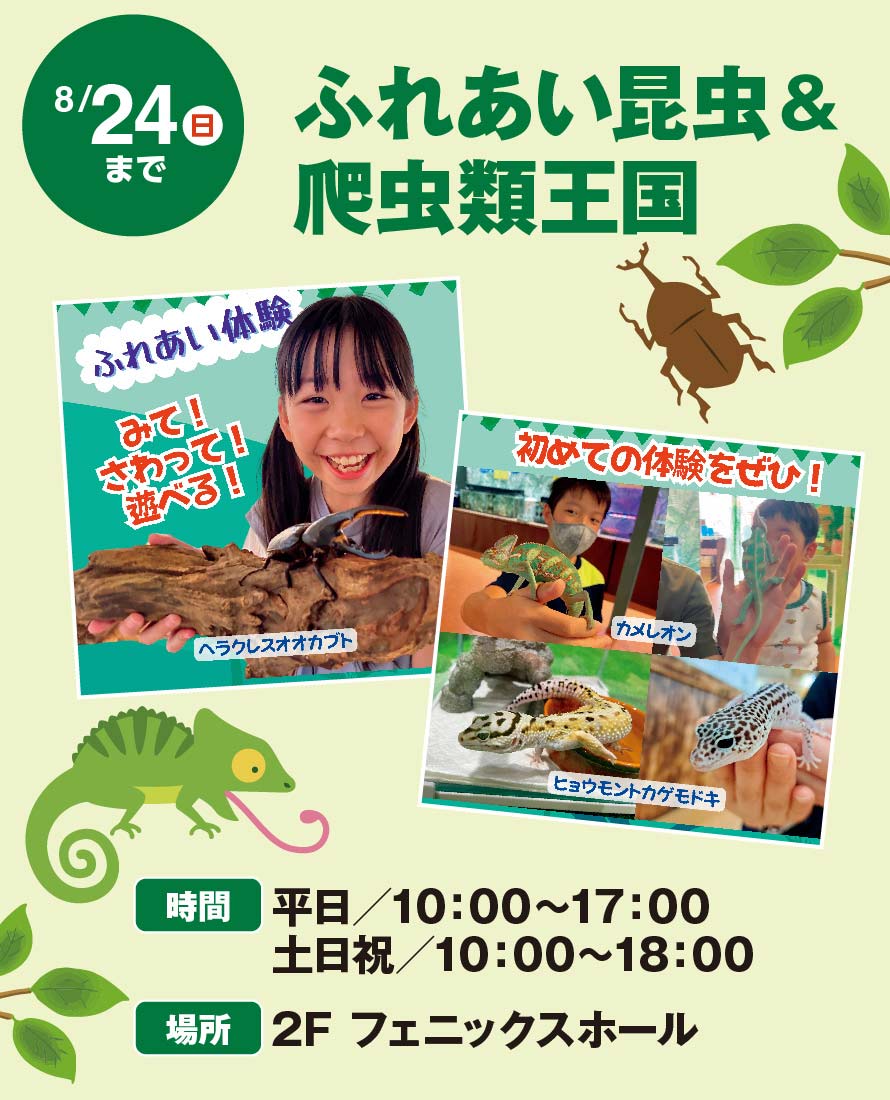 ふれあい昆虫＆爬虫類 王国