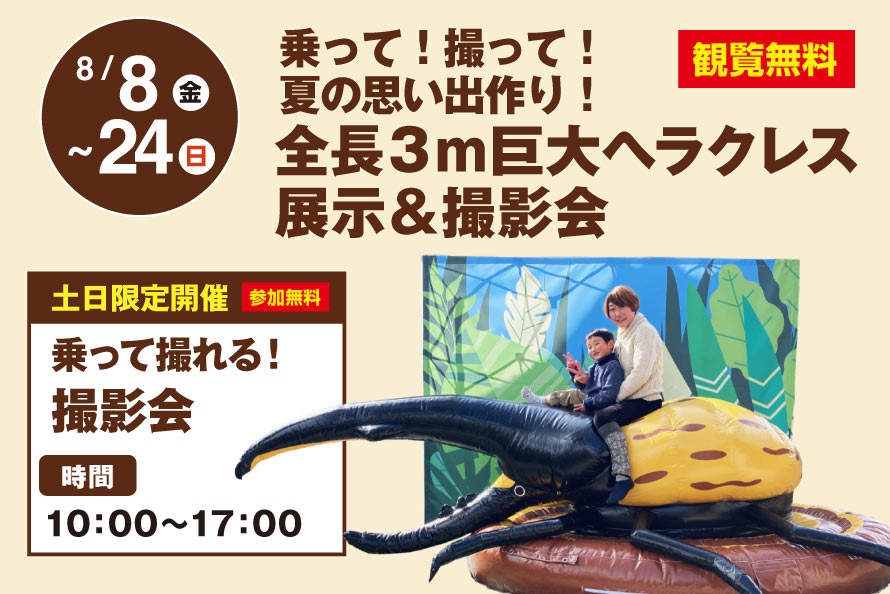 ヘラクレス展示