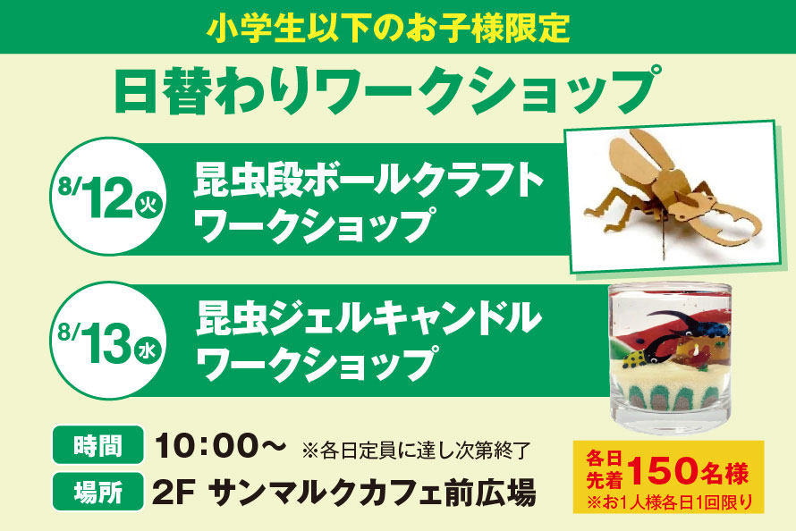 ワークショップ