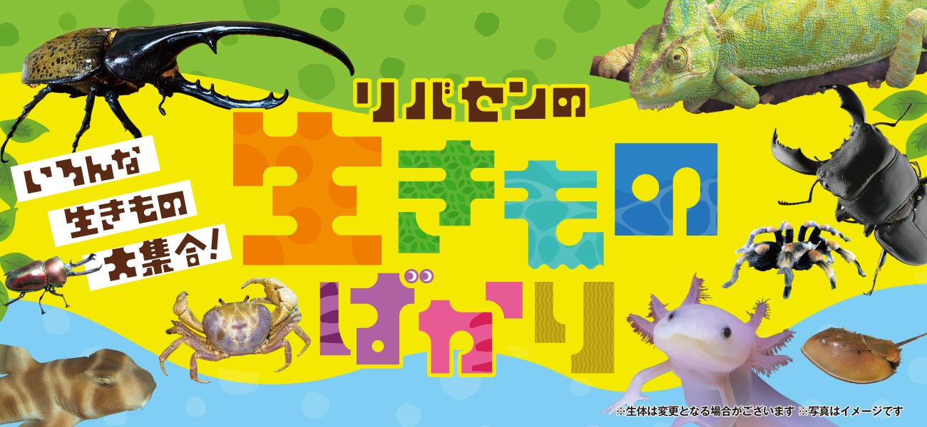 リバーサイド千秋特設サイト