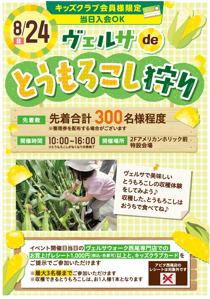 とうもろこし狩り