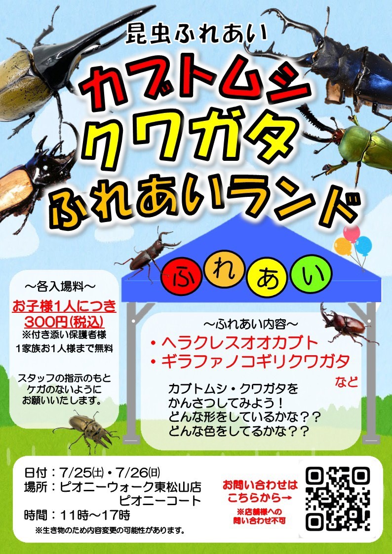 カブトムシ・クワガタふれあいランド＆虫くじ | イベント