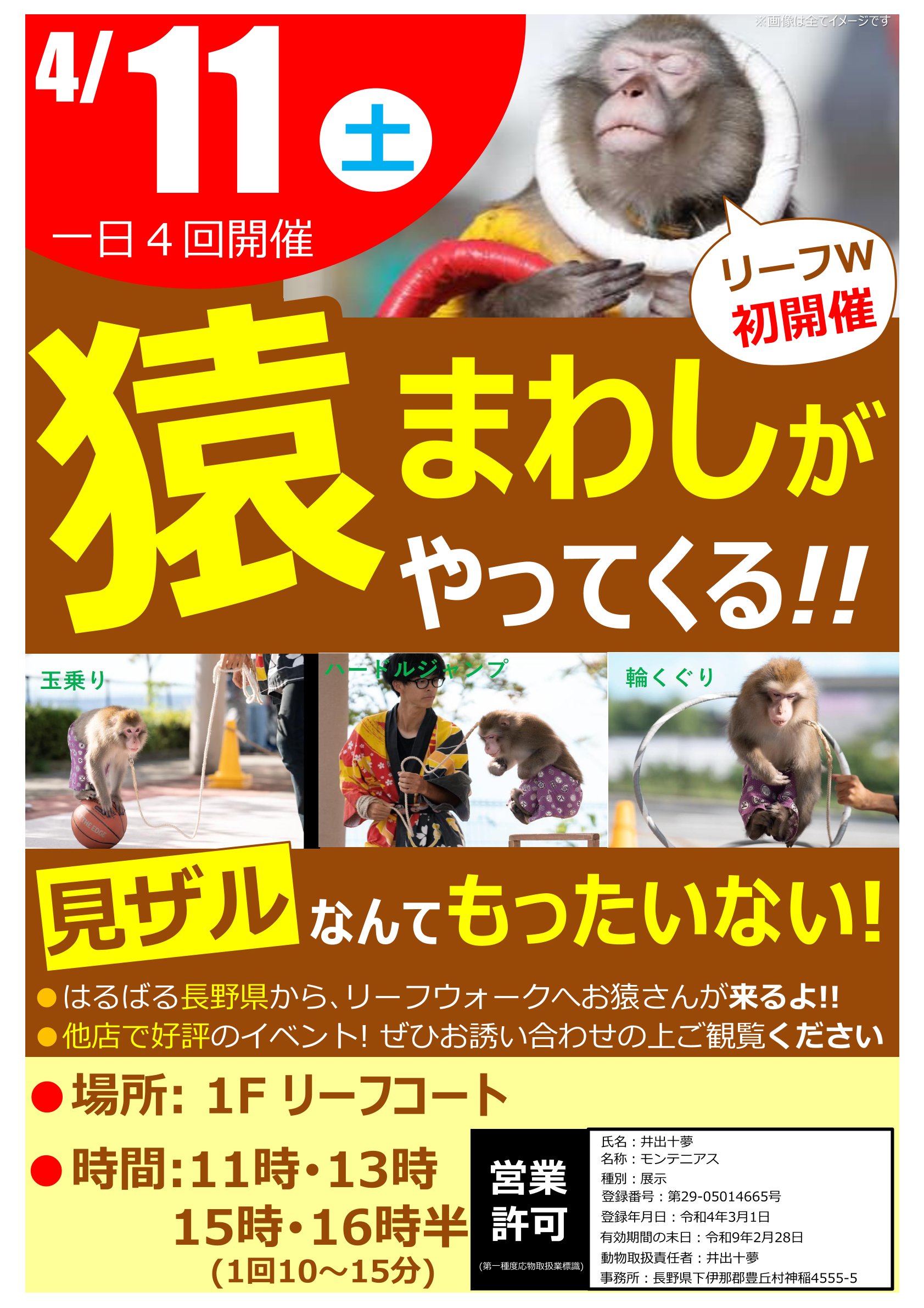 お猿ページ おさるさん (2016年度定期刊行紙しばい 年少向け おひさまこんにちは