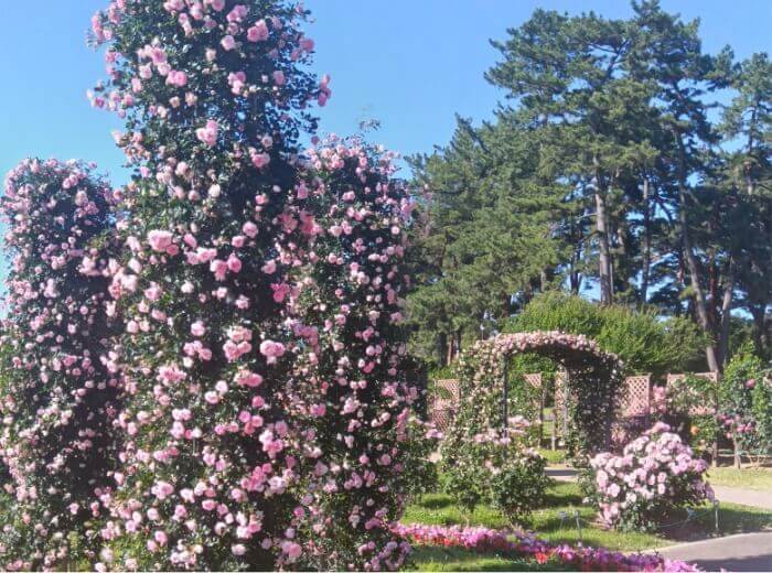 群馬県立敷島公園のイメージ